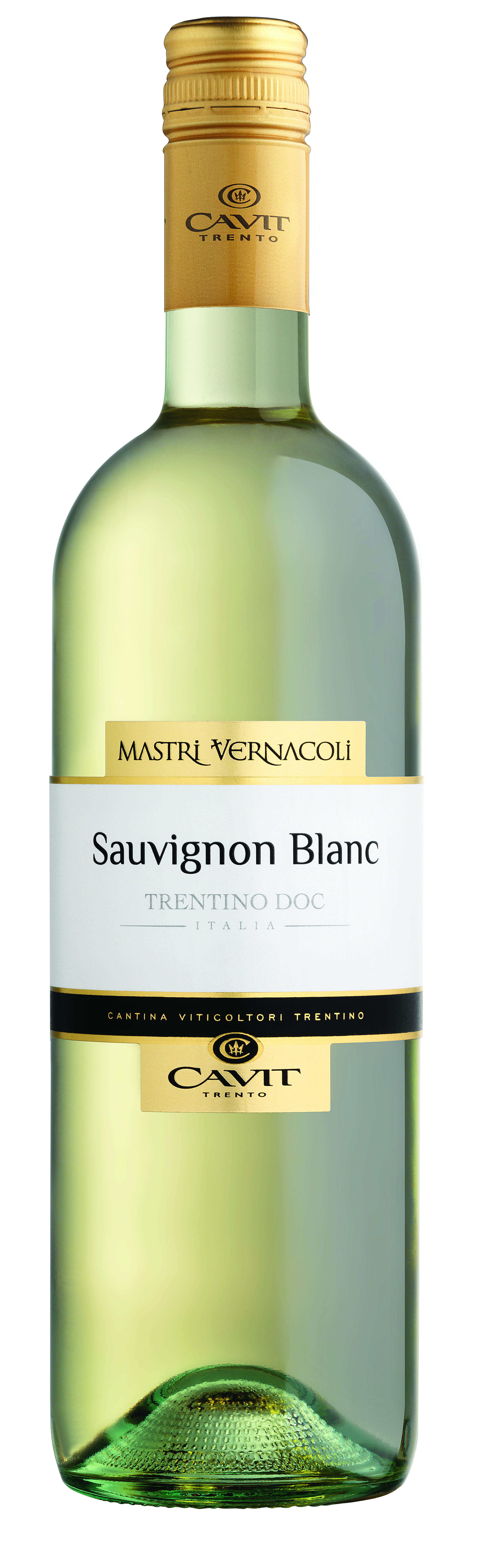 Sauvignon Blanc, Mastri Vernacoli